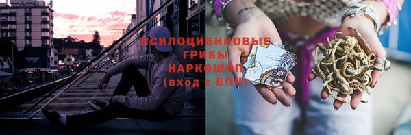 a pvp Богданович