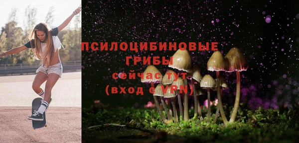 меф Богородицк