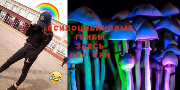 a pvp Богданович