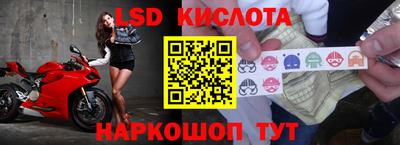 спайс Берёзовский