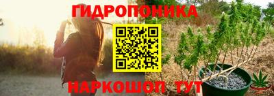 эйфоретик Гай