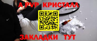 спайс Берёзовский