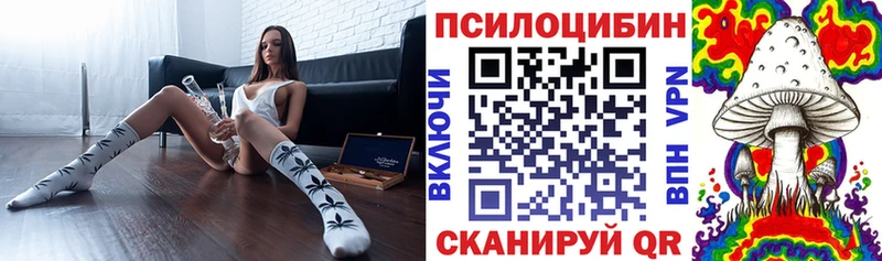 hydra сайт  где купить   Зима  Псилоцибиновые грибы ЛСД 