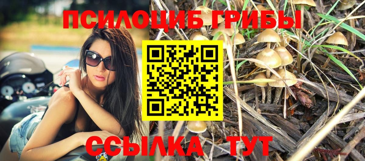 МЕТАДОН Зима