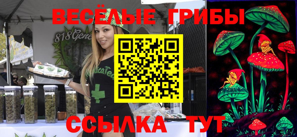 Псилоцибиновые грибы ЛСД Зима